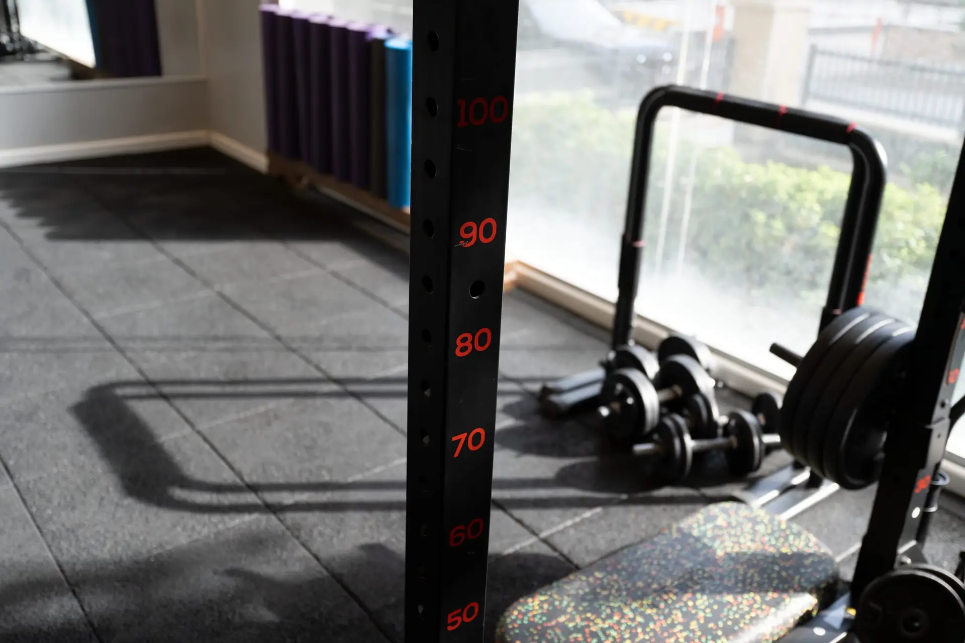 Fonksiyonel antrenman alanı: squat rack, dambıllar ve mat bölümü